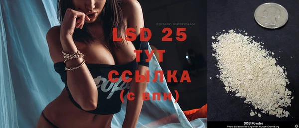 гидра Верхний Тагил
