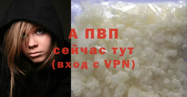 СК Верея