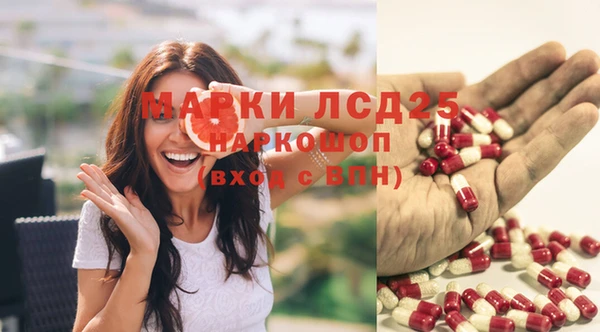 СК Верея
